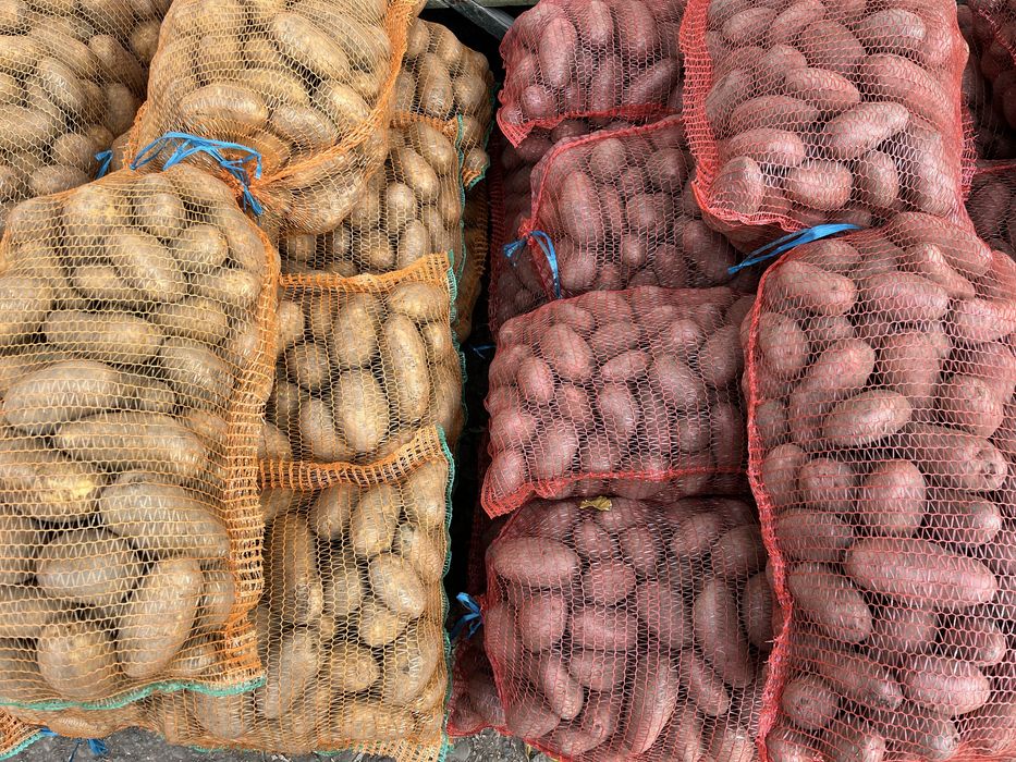 Cartofi consum albi si rosii