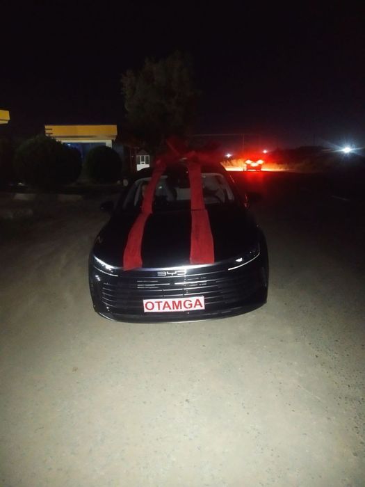 Byd chazor Черный Гибрид отличный состаяние