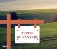 Teren de vanzare arabil 8,5 ha