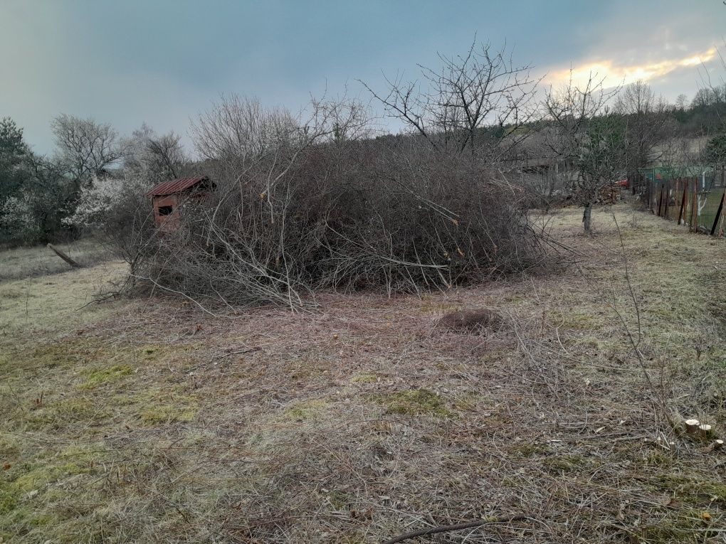 Косене на трева, Почистване на терени, Градински услуги