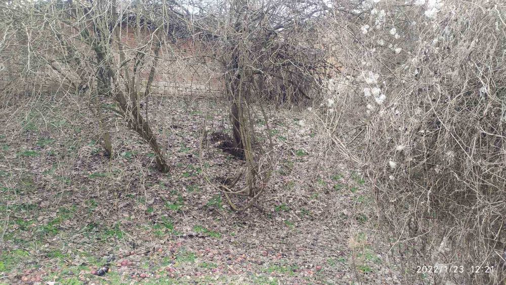 Къща с двор от собственик Осиково