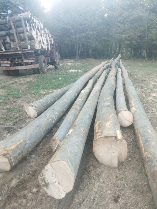 Дърва за огрев дъб,бук,габър и цер