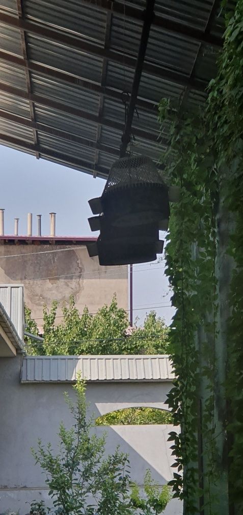 Bedana sotiladi 5 ta bor narx hammasiga
