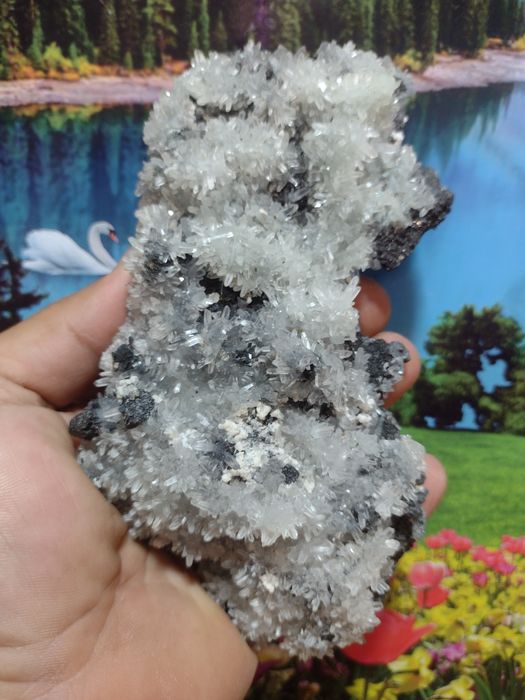 Минерали от родопите