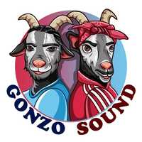 Студия Звукозаписи Gonzo Sound предоставляет свои услуги