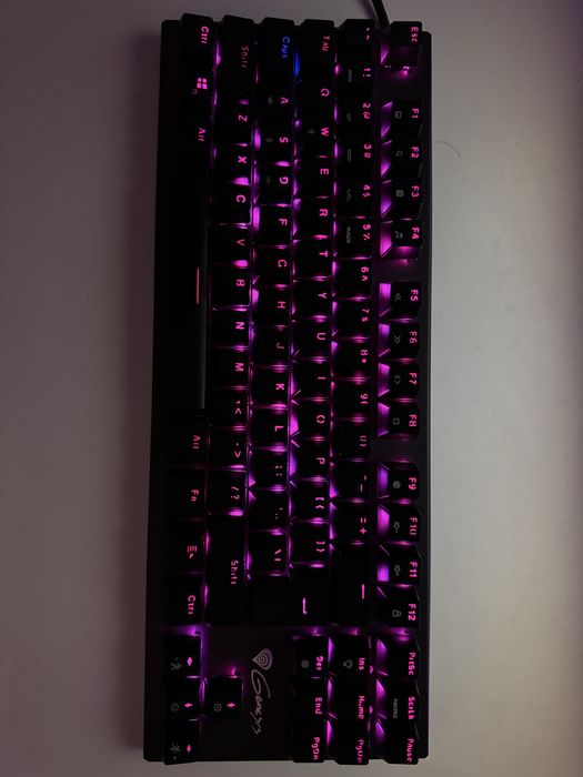 Tastatura Gaming THOR 300 tkl Rgb