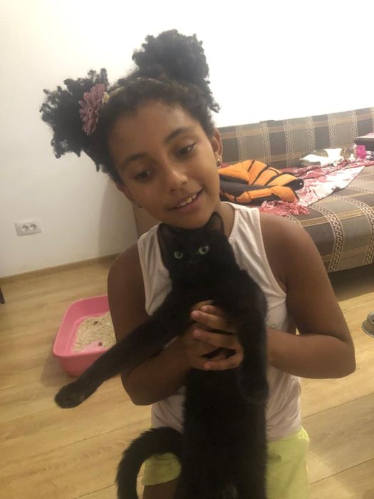 Cazare animăluțe de companie