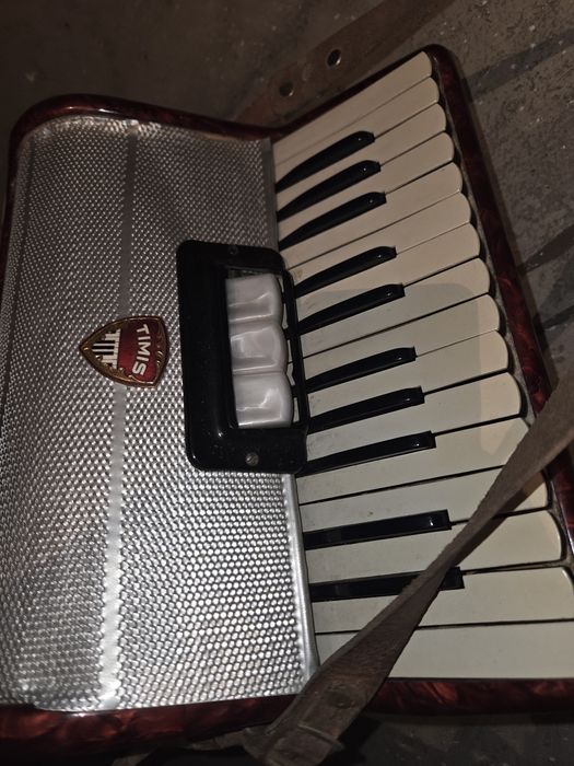 Vând acordeon Timis