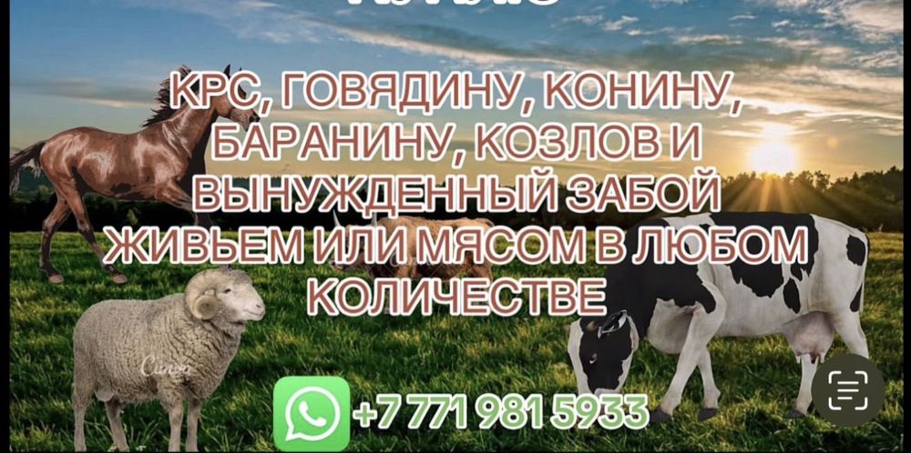 КРС по хорошей цене!
