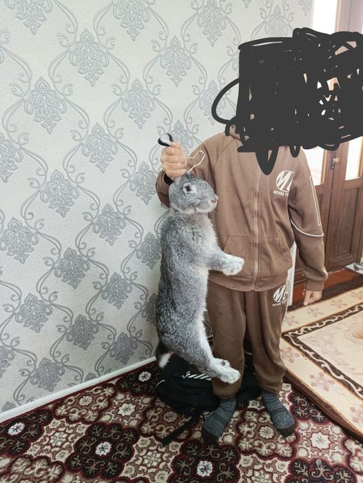 Эрке куен  сотилади 100 мингдан  хар бири кукон