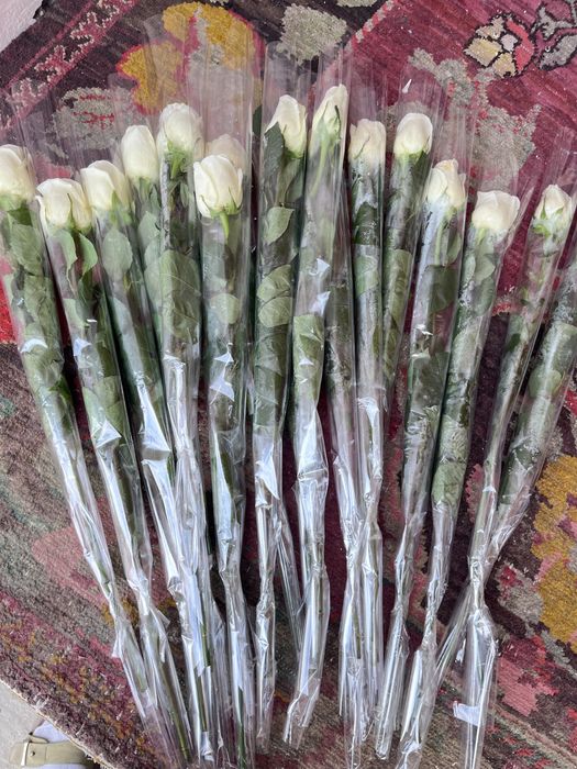 Белый роза метровый