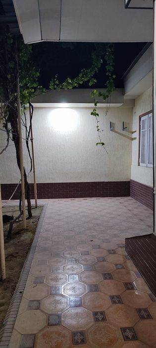 Kamolon 2,8 sotix xovli sotiladi