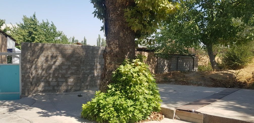 Toshkent tumani uchaska sotiladi