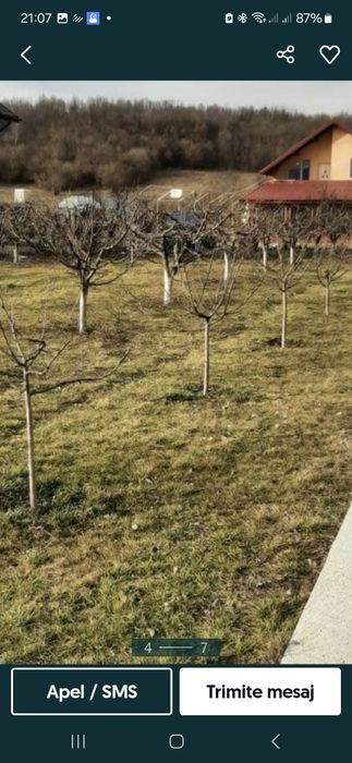 Toaletare pomii arbusti vita de vie  si stropirea acestora