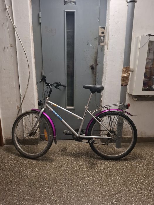 Bicicleta Pegas gri