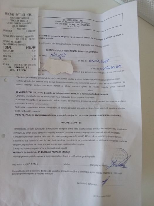 Nimfa de vanzare