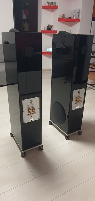 Morel Octave 6 Limited Edition - boxe podea negru