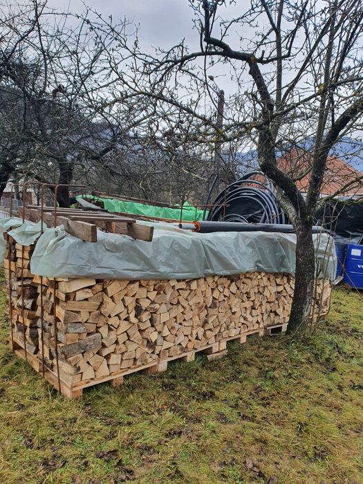 Lemne foc esența tare Fag