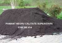 Pamant negru vegetal