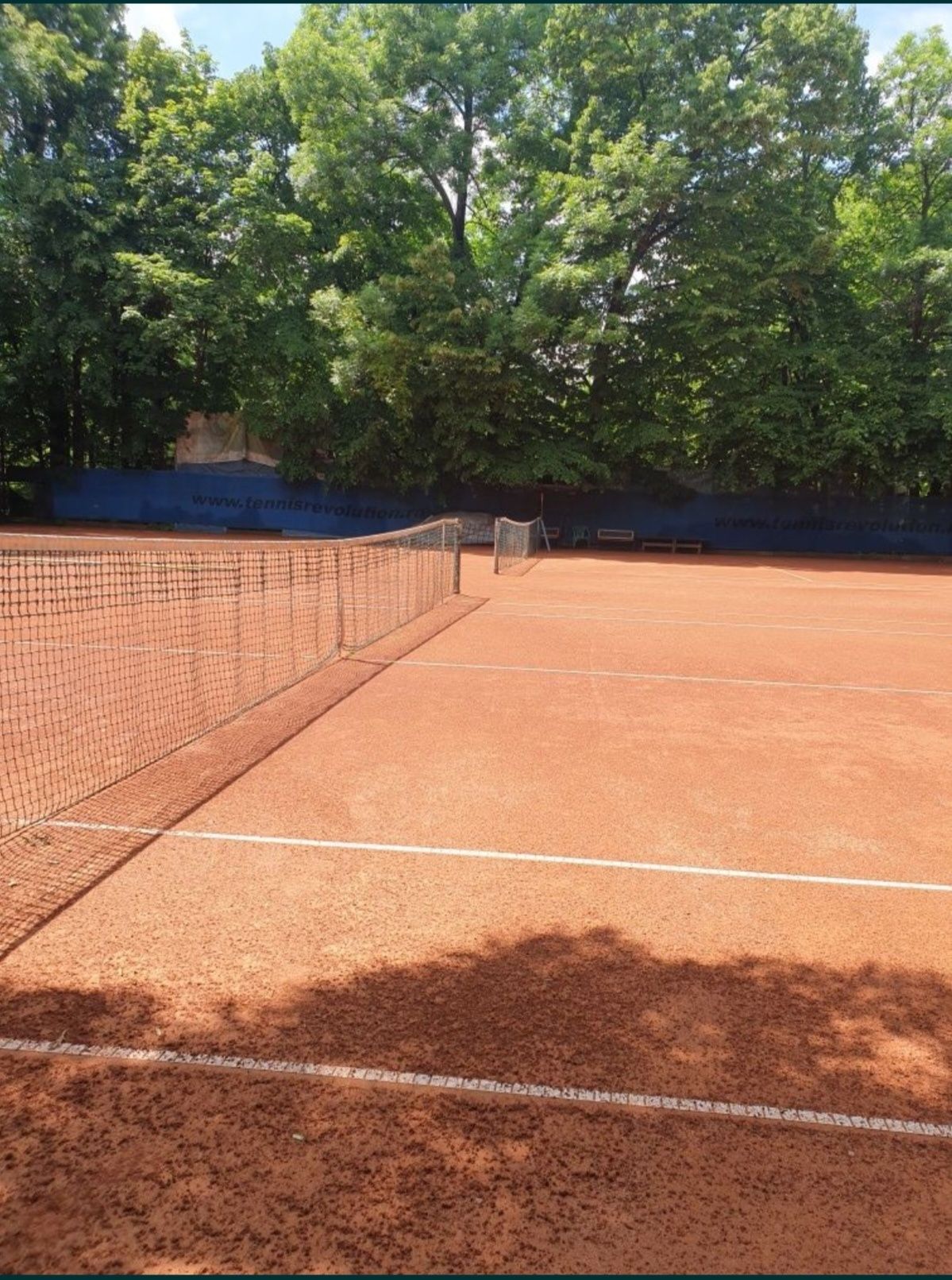 Antrenor tenis. Parcul Herastrau.