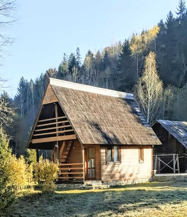 Cabana Grinties (10km de Durau) 6000mp intravilan + 1 ha padure