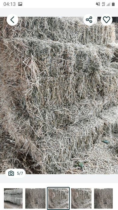 Baloți lucernă cal.1 preț.30 lei greutate 30-35 kg.caoasa a 3-4.