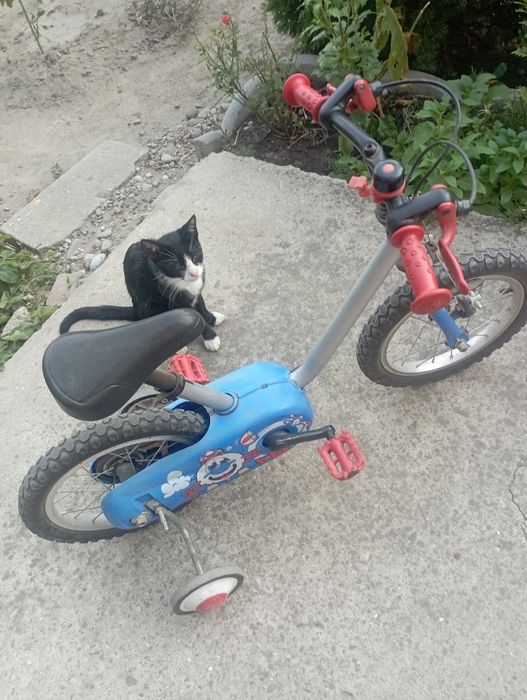 Bicicleta pentru copii in stare buna