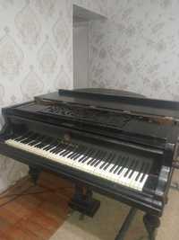 Продается антикварный рояль Мюхльбах.