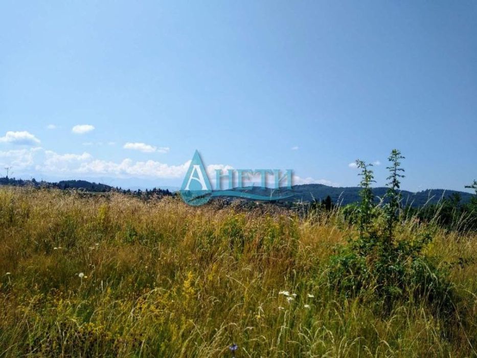 Продава се Парцел в с. Плана, Област София-град - 12500 кв.м за 39 €/кв.м - Снимка #1