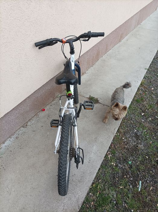 Bicicleta copii ROCKRIDER