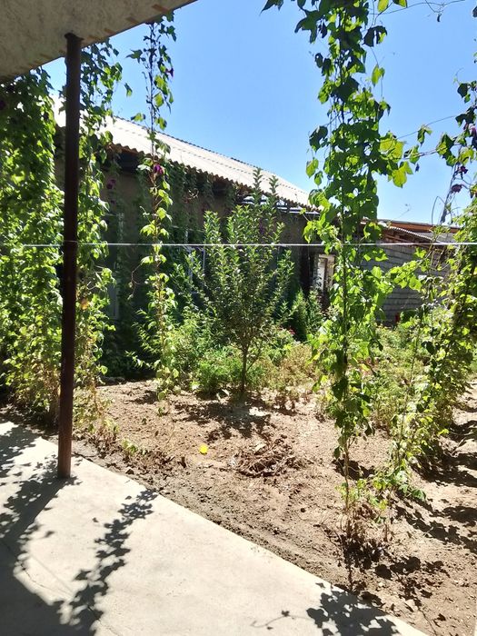 Yangibozor qaraqalpoqda uy sotiladi bizneslari bilan