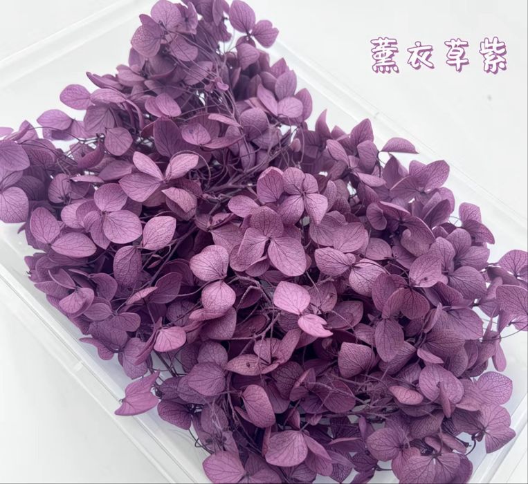 Сухоцветы гортензия 5 грамм