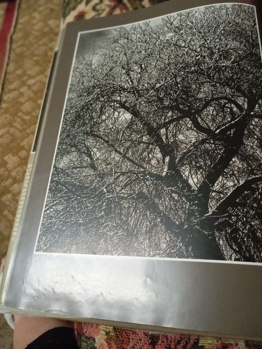 Книга о красоте женского тела