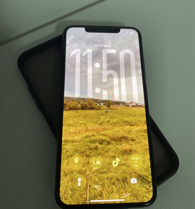 Iphone 11 Pro Max: 256GB