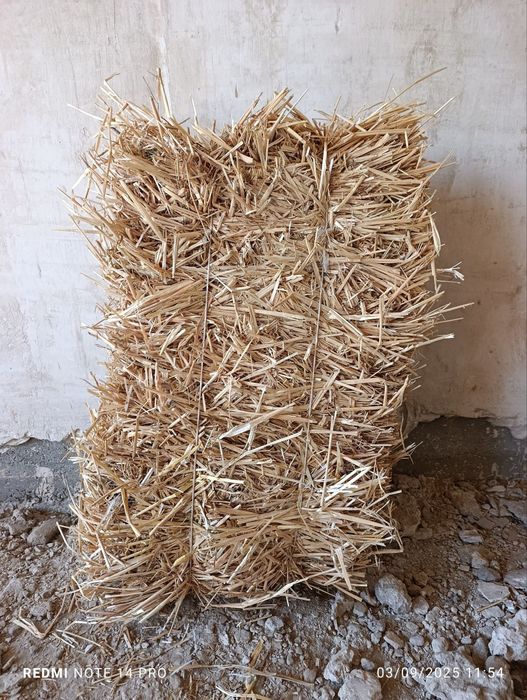 Тоза Сомон прес.