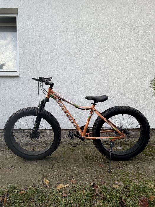 Bicicleta fat bike