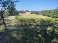 casa + 6000m² teren intravilan in Polovragi/Gorj.