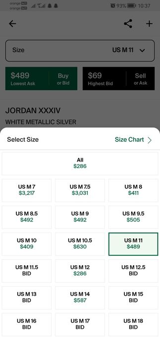 Jordan XXXIV ( 34 ) White Metallic Silver