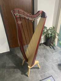 Harpa Salvi Juno 27
