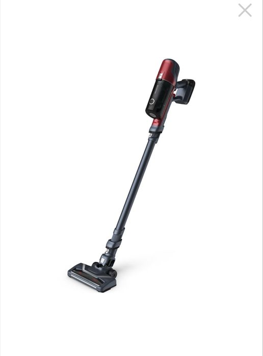 Aspirator vertical Rowenta X-pert 6.60