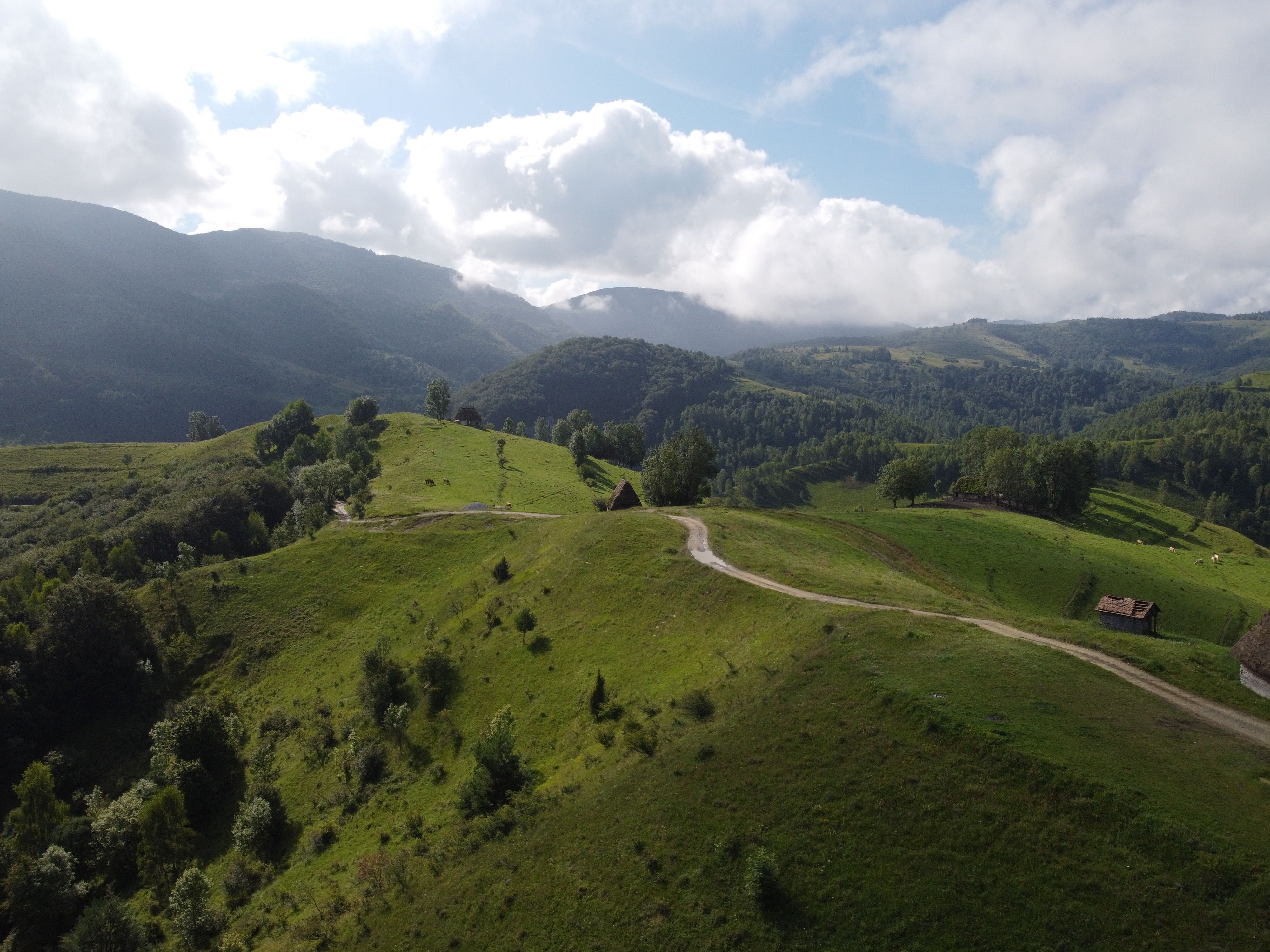 Drona Dji Mavic Mini