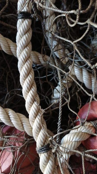 Plase pescuit  comercial