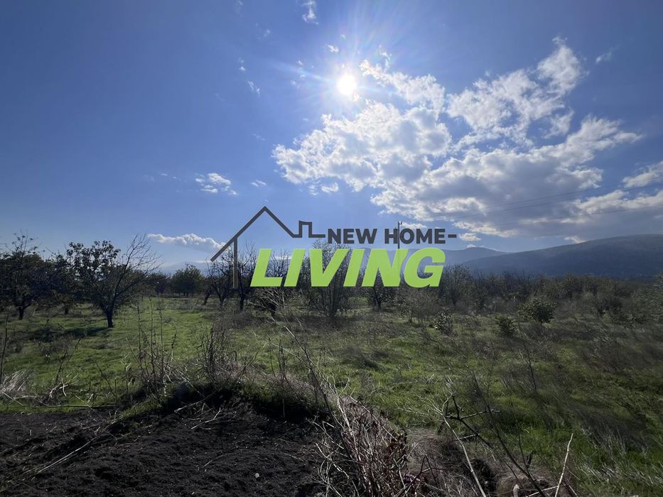 Парцел в Пловдив, област-с.Брестник площ 1960 цена 110000