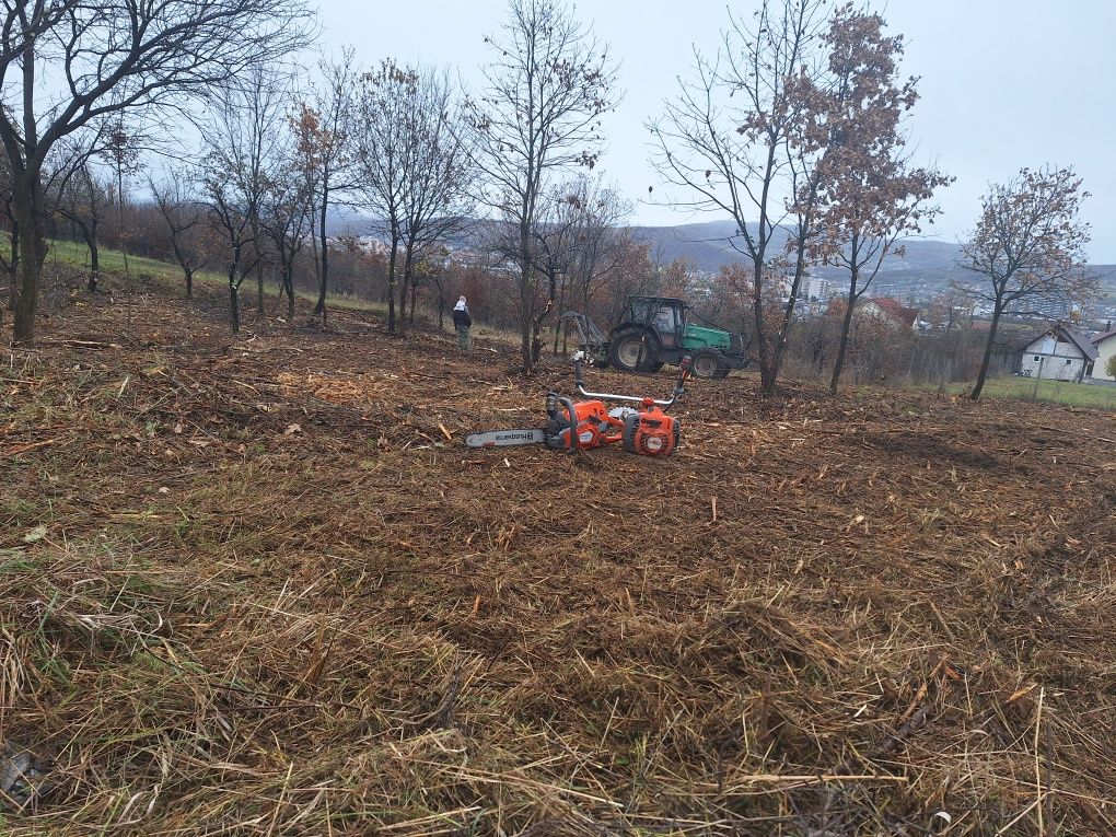 Curatam Pășuni și terenuri împădurite