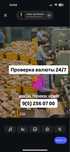 dollar tekshirish proverka Detektor aparat Bankovskiy