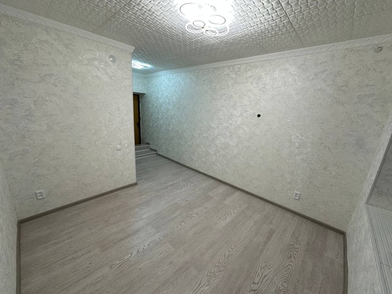 Продаётся 1/2/4 саракулька (Американская школа)
