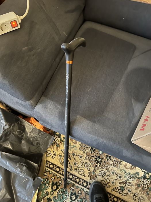 Cadru suport Baston metalic si WC varstnici