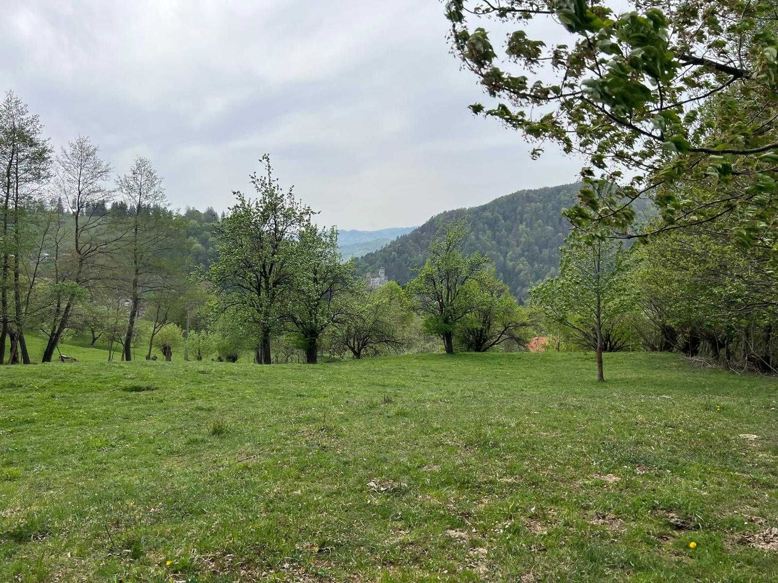 Teren intravilan în Bran , str Colibasilor 800m de castel