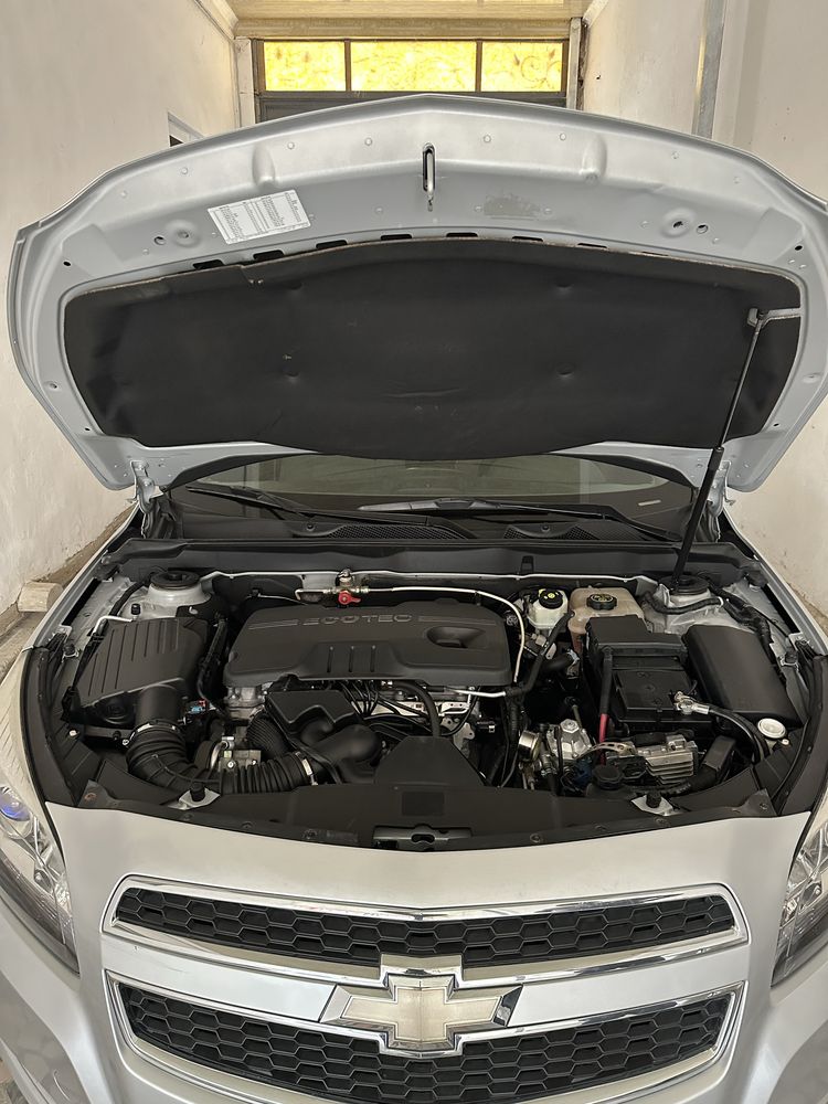 Malibu1 Xilati zur