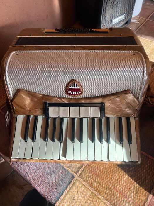 Acordeon.  TIMIS